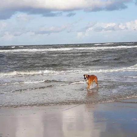 Luxury Retreat In Romo - By Traum * Kongsmark